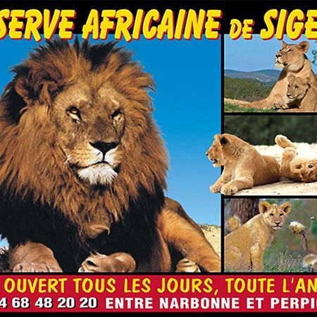 פור-א-נובל Le Mieukerien - Reserve Africaine 15 Mn, Plage 200M, Terrasse מראה חיצוני תמונה