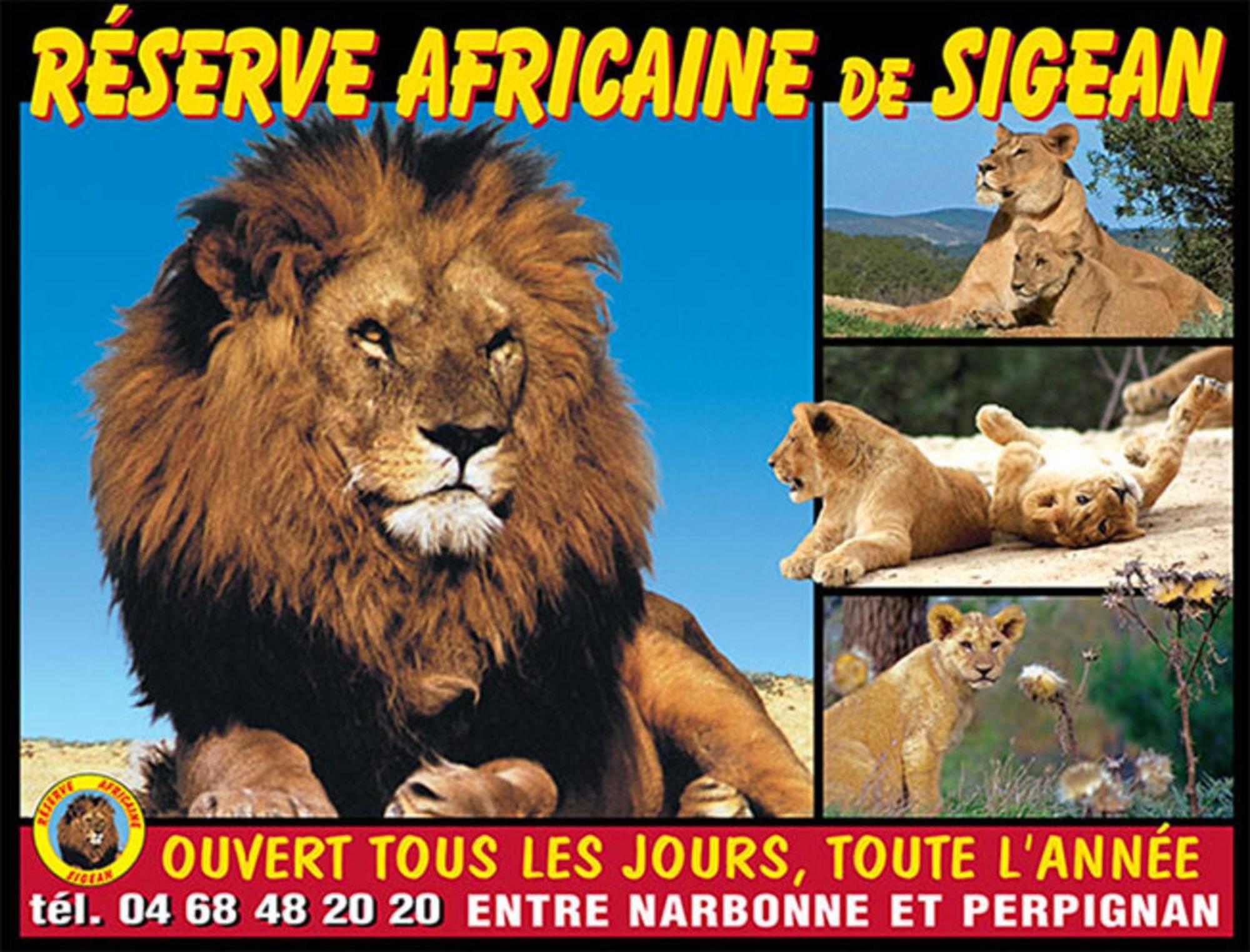 פור-א-נובל Le Mieukerien - Reserve Africaine 15 Mn, Plage 200M, Terrasse מראה חיצוני תמונה
